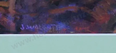 WALLATH, Judith - Woodshed in Bush Image 1++