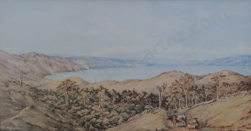 BARRAUD, C.D. (1822-1897) - Wellington from Kelburn 1858 Image 1++