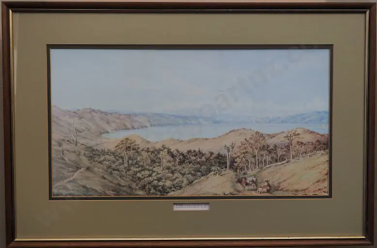 BARRAUD, C.D. (1822-1897) - Wellington from Kelburn 1858 Image 1++