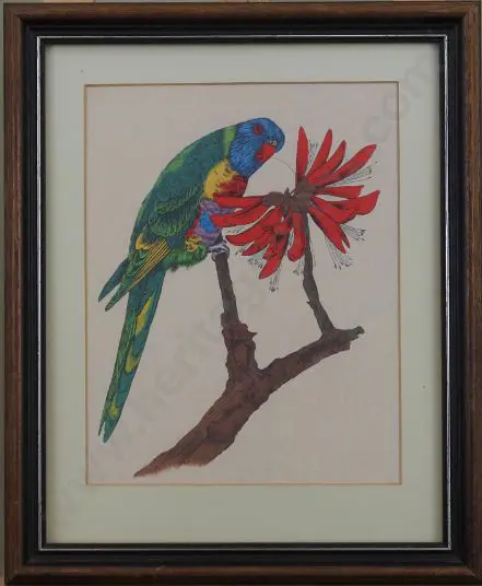 UNKNOWN Artist (A60) - Brightly coloured Parrot Image 1++