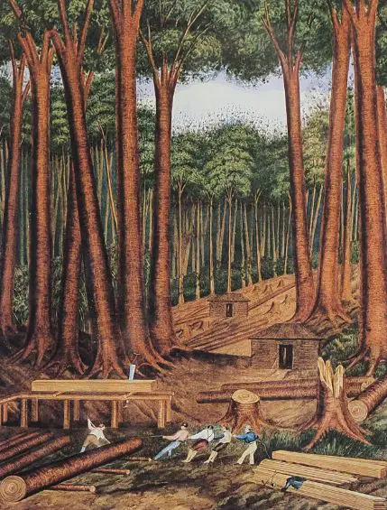 HEAPHY, Charles (1820-1881) - Kauri Tree Felling, Wairoa  River, Dec 1839 Image 1++