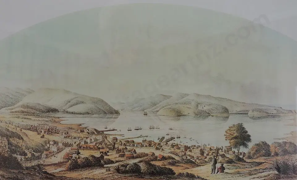 HANDCOCK, William (Active 1860s-70s) - City of Dunedin, 1864 Image 1++