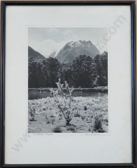 A35 - Unknown - Milford Track, New Zealand Image 1++