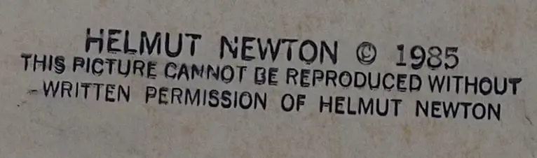 NEWTON, Helmut (1920-2004) - Photo of Elizabeth Taylor, 1985 Image 1++
