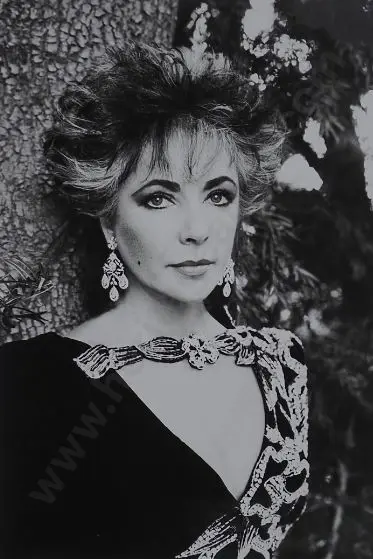 NEWTON, Helmut (1920-2004) - Photo of Elizabeth Taylor, 1985 Image 1++