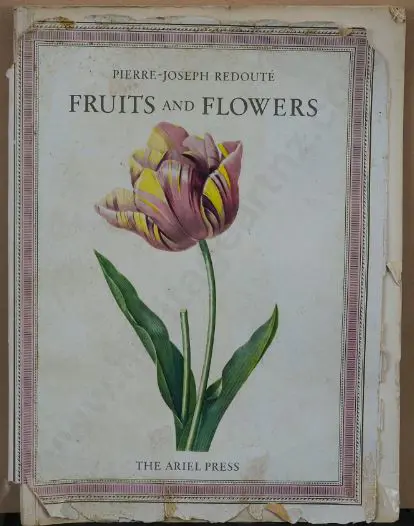 REDOUTE, Pierre Joseph (1759-1840) - Fruits and Flowers Image 1++