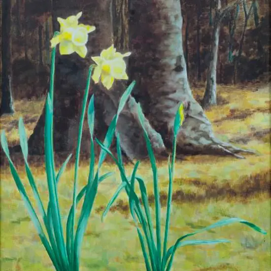 NEWTON, Kenneth Alan (1919-2016) - Spring Flowers in Kowhai Park, Wanganui