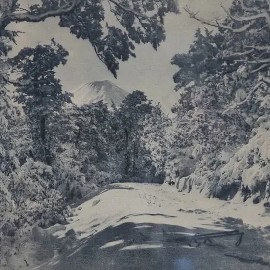 RISBERG, Carl (1903-1972) - "Winter's Charm" Road to Mount Ngauruhoe