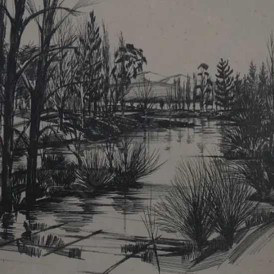 DRAWBRIDGE, John (1930-2005) - Rural Scene - Trees, Stream, Hills