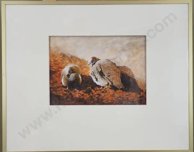 FOLWELL, Tom (21st Cent.) - Two Pigeons Dining Image 1++