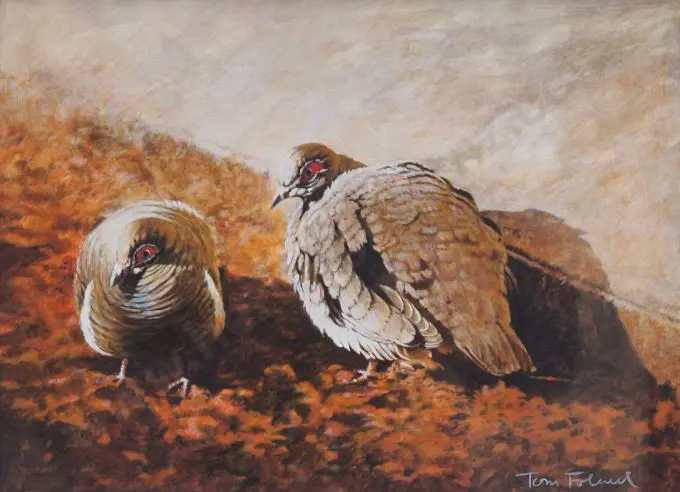 FOLWELL, Tom (21st Cent.) - Two Pigeons Dining Image 1++