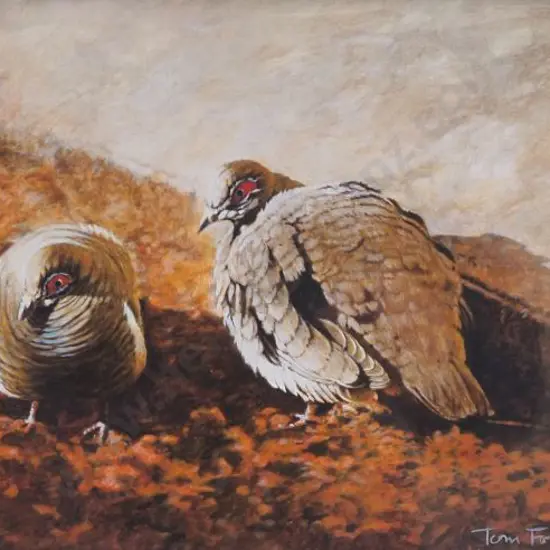 FOLWELL, Tom (21st Cent.) - Two Pigeons Dining