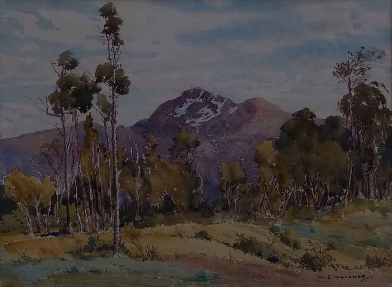 WAUCHOP, William Simon (1889-1971) - Molloy's Lookout, Westland Image 1++