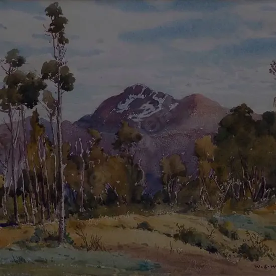 WAUCHOP, William Simon (1889-1971) - Molloy's Lookout, Westland