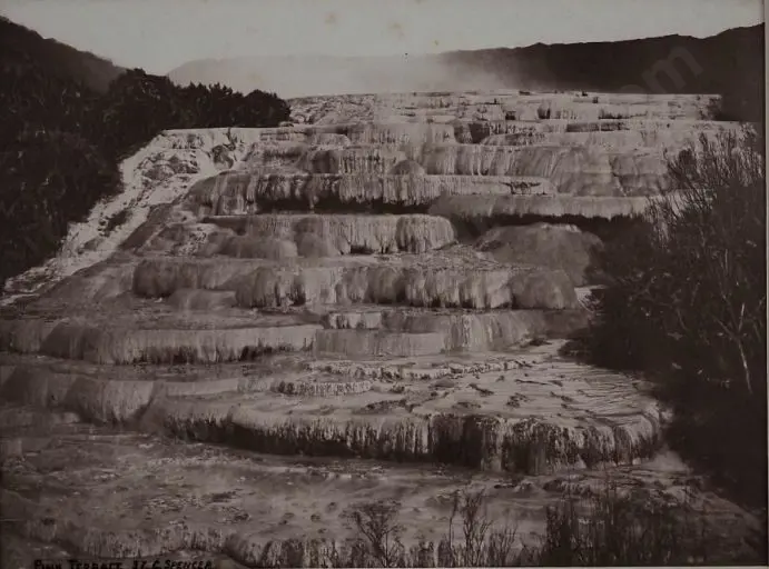 SPENCER, Charles (1854-1933) - The Pink Terraces - c.1880 Image 1++