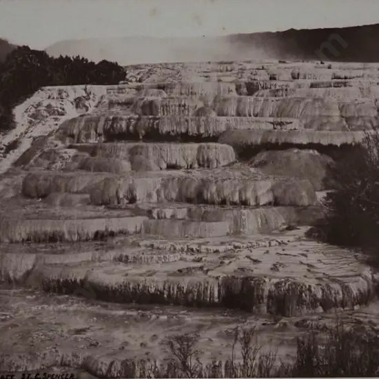 SPENCER, Charles (1854-1933) - The Pink Terraces - c.1880