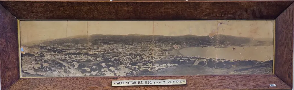 UNKNOWN Photographer (19th Cent.) - Wellington from Mount Victoria - 1886 Image 1++