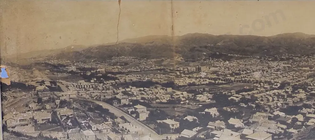 UNKNOWN Photographer (19th Cent.) - Wellington from Mount Victoria - 1886 Image 1++