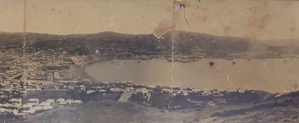 UNKNOWN Photographer (19th Cent.) - Wellington from Mount Victoria - 1886 Image 1++