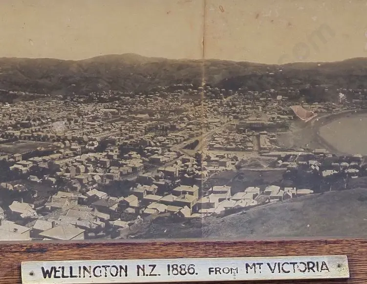 UNKNOWN Photographer (19th Cent.) - Wellington from Mount Victoria - 1886 Image 1++