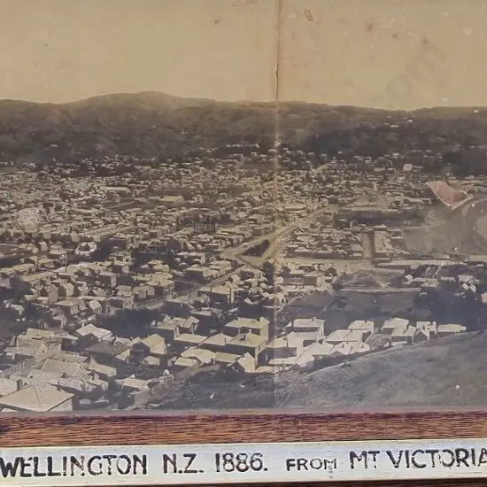 UNKNOWN Photographer (19th Cent.) - Wellington from Mount Victoria - 1886