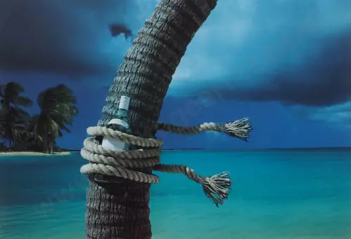 SIMPSON, Chris (1952-) - Island Breeze Image 1++