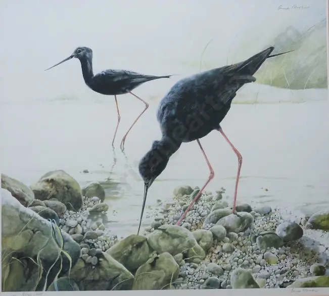 HARVEY, Bruce (1931-) - Black Stilts Image 1++