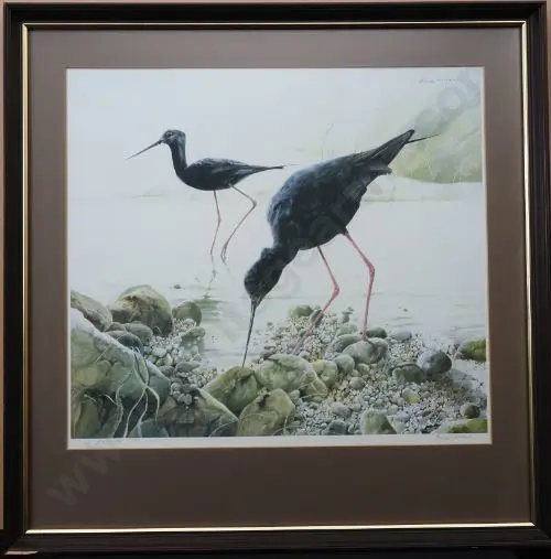 HARVEY, Bruce (1931-) - Black Stilts Image 1++