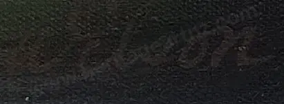 WILSON - Still Life - Grapes and Wine Image 1++