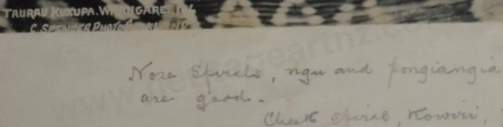 SPENCER, Charles (1854-1933) - MAORI Chief - Taurau Kukupa - Whangarei Image 1++