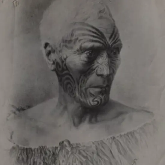 UNKNOWN Photographer - MAORI Chief - Identity Unknown
