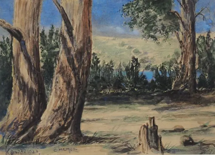 HEMUS, Charles (1849-1925) - Kawau Island 1920 Image 1++