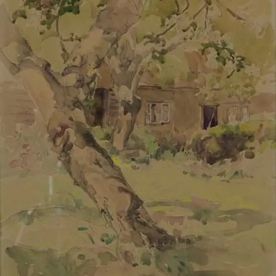 THOMSON, Louisa (1883-1962) - Old Apple Tree - Willow Cottage