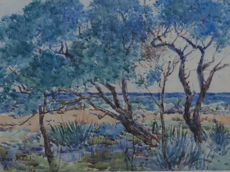 WALSH, Alfred William (1859-1916) - Coastal Bush Scene Image 1++
