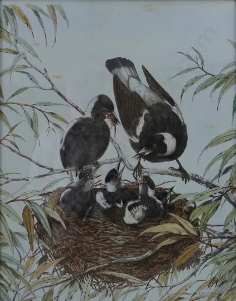 CAYLEY, Neville Pennington - Senior (1853-1903) - Magpies Image 1++