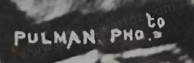 PULMAN, Elizabeth (1836-1900) - King Te Whiao c.1880-1890 Image 1++