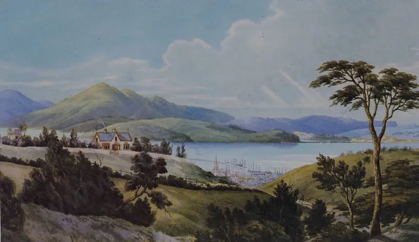 HOYTE, John Barr Clarke (1835-1913) - Dunedin from the Town Belt - N.Z. Harbour Scene Image 1++