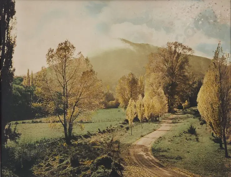 AUTUMN in the South - South Island Autumnal Scene - Handcoloured Photo c.1950 Image 1++