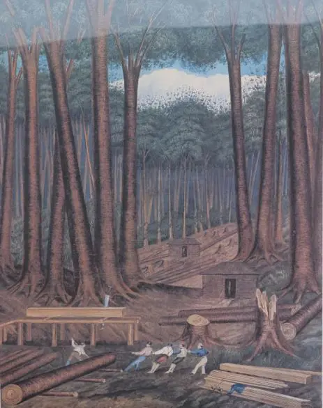 HEAPHY, Charles (1820-1881) - Kauri Tree Felling and Milling 1839 Image 1++