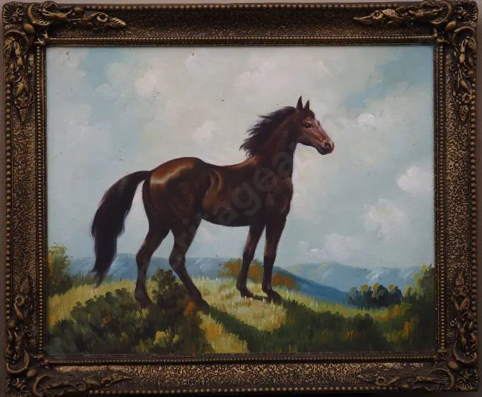 UNKNOWN - Horse in Field Image 1++