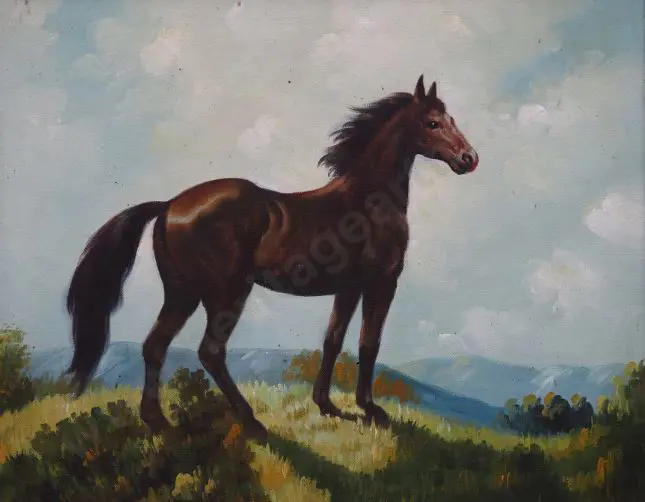 UNKNOWN - Horse in Field Image 1++