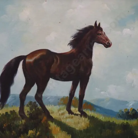 UNKNOWN - Horse in Field