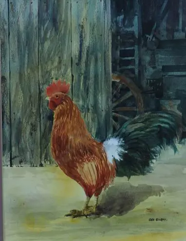 GILROY, George - Farmyard Rooster Image 1++