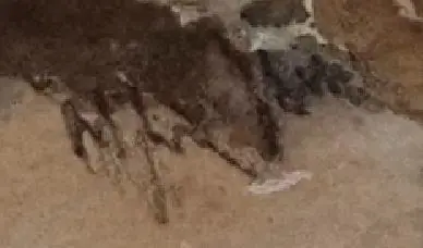 UNKNOWN Artist (A45) - Bridge over River Image 1++