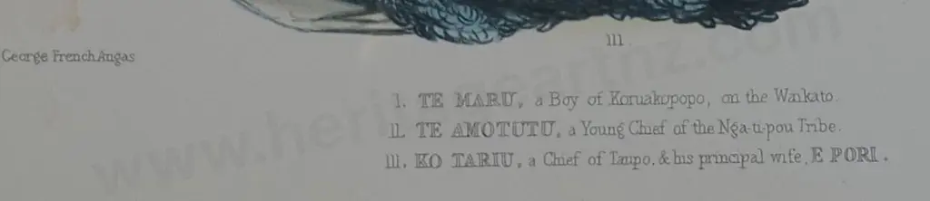 ANGAS, George French (1822-1886) - New Zealanders Illustrated. Plate 43 Image 1++