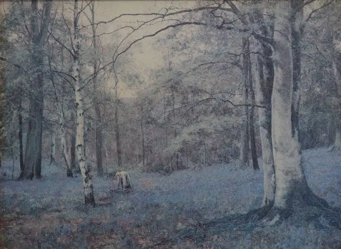 AUSTRIAN FOREST - Woman in Austrian Forest Image 1++