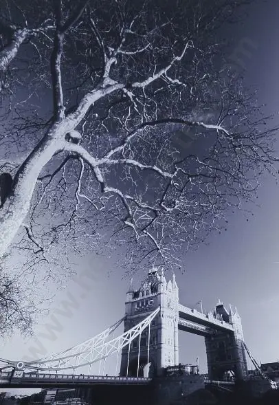 KOWALIK, Piotr (21st Cent.) - Tower Bridge at Dusk Image 1++