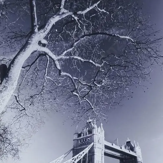 KOWALIK, Piotr (21st Cent.) - Tower Bridge at Dusk