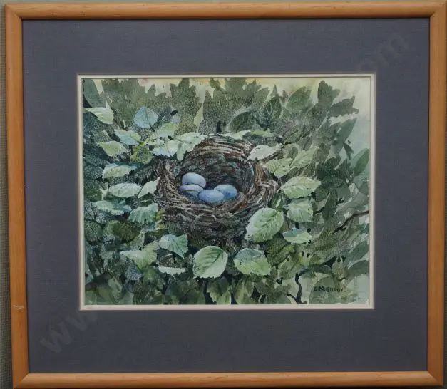 GILROY, George - Birds Nest and Eggs Image 1++