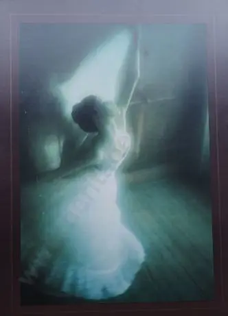 HAMILTON, David - Ballerina Image 1++